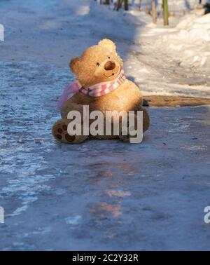 grand joli ours en peluche dans un foulard assis sur la neige blanche, le concept de solitude Banque D'Images