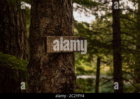 Un ancien marqueur de sentier altéré est affiché sur un arbre indiquant le sentier du lac Clear avec le lac flou en arrière-plan Banque D'Images