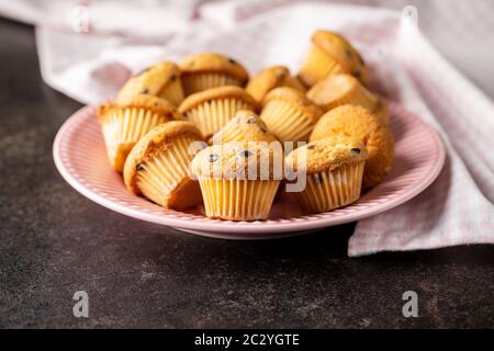 Délicieux muffins au chocolat. Cupcakes sucrés sur plaque rose. Banque D'Images