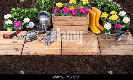 Ensemble D'Outils De Jardinage Et Fleurs Dans Sunny Garden Banque D'Images