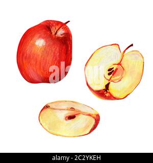 Un ensemble de pommes rouges. Un ensemble mûr de fruits juteux brillant, la moitié en tranches et partie. Pastel à l'huile à la main l'illustration de l'étiquette des aliments. Banque D'Images