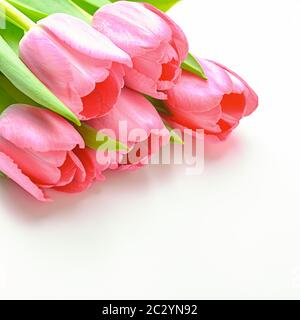 Bouquet de tulipes roses fraîches sur fond blanc, isolé Banque D'Images