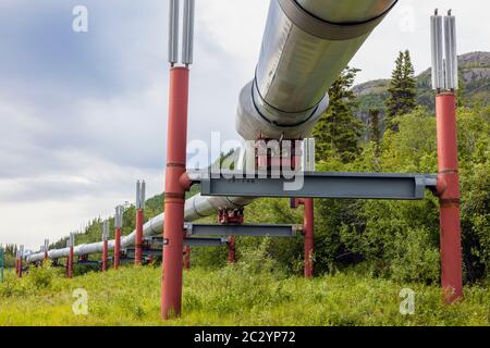 Alyeska Pipeline traversant le paysage, Glennallen, Alaska, États-Unis