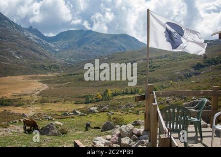 Drapeau de la Corse, à l'extérieur dans une belle vallée entourée de montagnes. Corse, France Banque D'Images