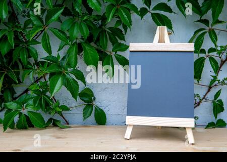 petit tableau sur une table en bois devant un mur gris avec plante Banque D'Images