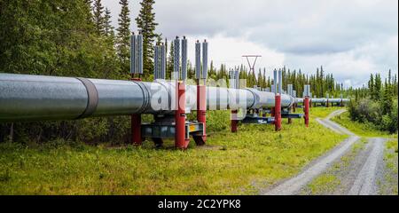Alyeska Pipeline traversant le paysage, Glennallen, Alaska, États-Unis
