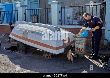 Istanbul, Turquie - 13 février 2020 : des chats isolés de l'île de Buyukada se sont rassemblés près de la poubelle lorsqu'un homme en uniforme et gants protecteurs a jeté des déchets alimentaires. P Banque D'Images