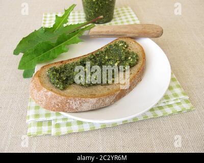 Pesto de pissenlit, pesto vert avec pissenlit sur une tranche de pain Banque D'Images