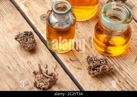 À partir de la teinture médicinale les racines et rhizomes de la valériane.Phytothérapie Banque D'Images