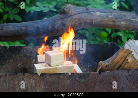 Le bois de chauffage brûle dans le brazier. Concept barbecue d'été Banque D'Images