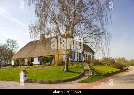 Maison hollandaise typique avec toit en paille, avec jardin vert. Maison de campagne, Gelderland, pays-Bas Banque D'Images