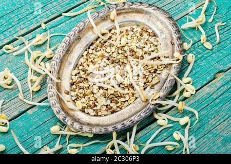 Réglez le grain vert sec et les grains de café ou de café Banque D'Images