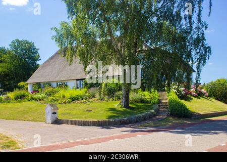 Maison hollandaise typique avec toit en paille, avec jardin vert. Maison de campagne, Gelderland, pays-Bas Banque D'Images