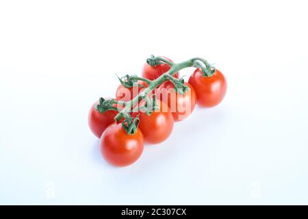 Vue de dessus des tomates en branches isolées sur fond blanc. Banque D'Images