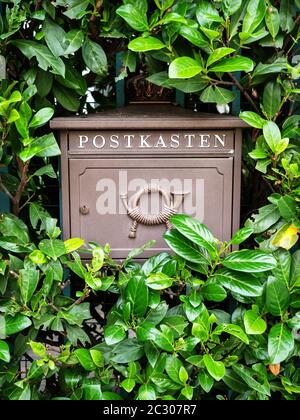 Russie, Sotchi 10.03.2019. Boîte aux lettres en fer brun avec inscription et motif en buissons verts Banque D'Images
