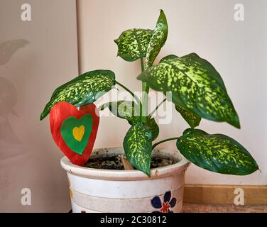 Fleur avec coeur en papier dans le pot Banque D'Images