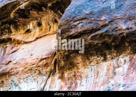 Murs de falaises de grès colorés le long de la promenade en bord de rivière dans le parc national de Zion, Utah, États-Unis Banque D'Images