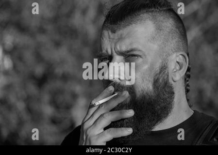 Homme avec une barbe sur fond de verdure. Au coucher du soleil. Grand portrait facial d'un homme barbu de 40 ans. Portrait Banque D'Images