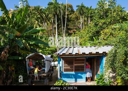 Modeste maison rurale dans la campagne luxuriante autour de Baracoa, Cuba Banque D'Images