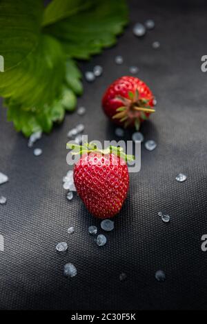 Fraises rouges avec peu de pierres de grêle blanches et feuilles de fraises sur du matériel noir utilisé pour cultiver cette baie dans le jardin. Arrière-plan vertical avec c Banque D'Images