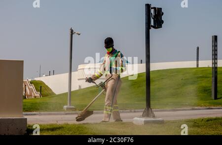 un jardinier portant un masque et des gants de main pendant le travail, coronavirus - covid19 pandémie Banque D'Images