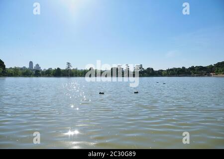 Réflexion solaire sur l'eau du lac ('Lago') à Casa de Campo à Madrid, Espagne. Banque D'Images