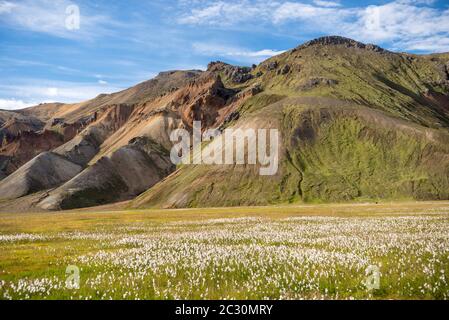 Montagnes volcaniques de Landmannalaugar dans la réserve naturelle de Fjallabak. L'Islande Banque D'Images