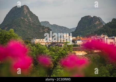 Fleurs rose flou en face de paysage estival de la ville de Guilin montagnes karstiques avec ville en arrière-plan, dans la province de Guangxi, Chine Banque D'Images