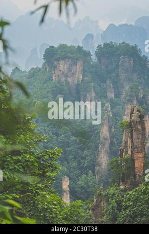 Vue verticale des piliers de pierre de monts Tianzi dans Zhangjiajie National Park qui est une célèbre attraction touristique, la province du Hunan, Wulingyuan Banque D'Images