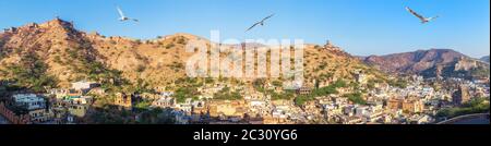 Vue sur le fort et les collines, Inde, Jaipur. Banque D'Images