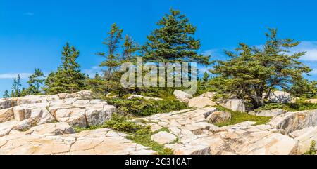 Paysage avec arbres et formations rocheuses, Schoodic Peninsula, parc national d'Acadia, Maine, États-Unis Banque D'Images