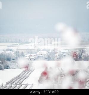 Village de Schützen dans Burgenland en hiver Banque D'Images