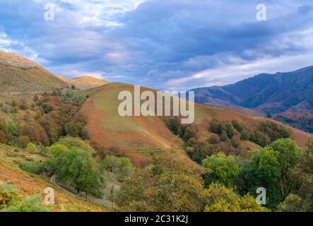 Pic de Behorleguy, montagnes d'Iraty, pays Basque, Pyrénées-Atlantiques, France Banque D'Images