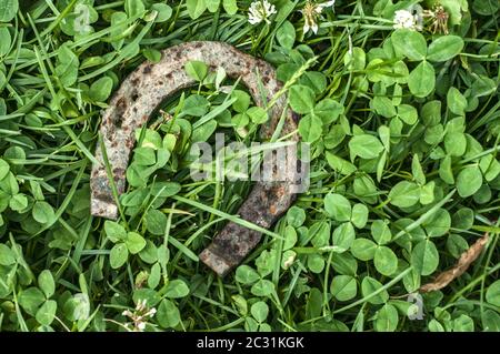 Old weathered fer rouillé horseshoe libre sur clover meadow background Banque D'Images