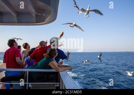 Thassos / Grèce - 10.28.2015: Personnes essayant de nourrir les mouettes depuis le pont d'un ferry de l'île, mouette attrapant le craqueur, bleu mer calme dans le Banque D'Images