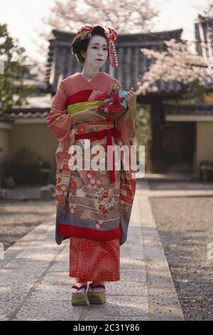 Maiko dans un kimono marchant sur un chemin de pierre en face de la porte d'un temple japonais traditionnel Banque D'Images