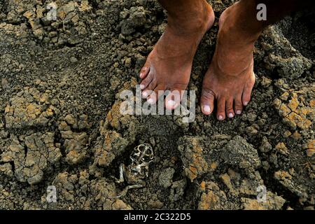 Carcasse de grenouille sèche (crapaud) morte et pieds sales d'hommes debout sur terre argileuse fissurée, boue. Vue rapprochée. Changement climatique, sécheresse, pénurie d'eau Banque D'Images