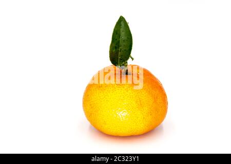 Mandarine mûre avec des feuilles de gros plan sur fond blanc. Orange mandarine avec feuilles sur fond blanc. Banque D'Images