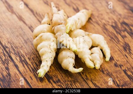 Japanese crosne Stachys affinis tubercules légume racine rhizome closeup Banque D'Images