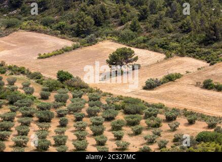 Vue panoramique sur la vallée du Luberon de la célèbre les Baux de Provence village médiéval dans le sud de la France Banque D'Images