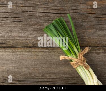 feuilles d'oignon vert frais attachées avec une corde dans un bouquet sur un fond gris en bois, vue de dessus Banque D'Images