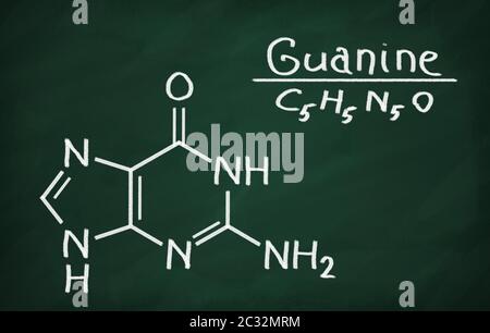 Modèle structural de la guanine sur le tableau noir. Banque D'Images