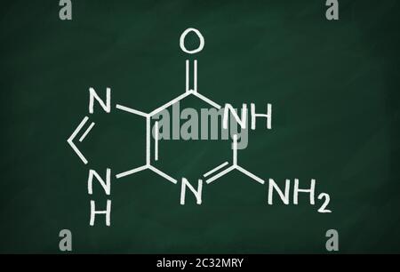 Modèle structural de la guanine sur le tableau noir. Banque D'Images