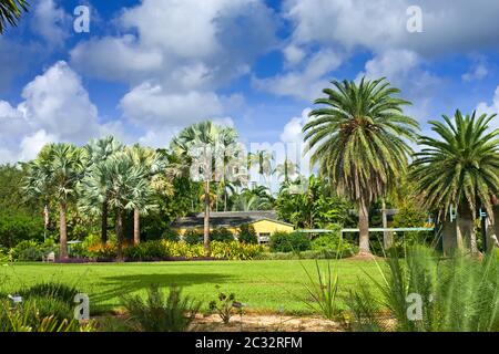 Jardin botanique tropical Fairchild Banque D'Images