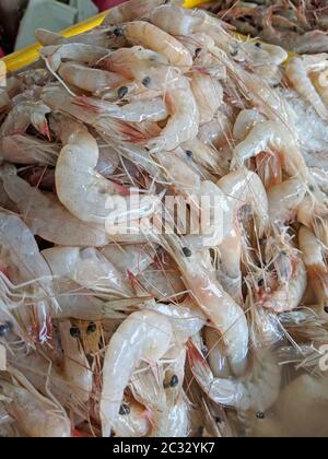 panier rempli de crevettes fraîches à vendre sur le marché humide Banque D'Images