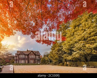 Coucher de soleil sur le Tokyo Metropolitan Park KyuFurukawa ancien manoir de style occidental à l'érable rouge momiji laisse la saison en automne. Banque D'Images