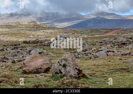 Beau paysage de Bale Mountain Banque D'Images