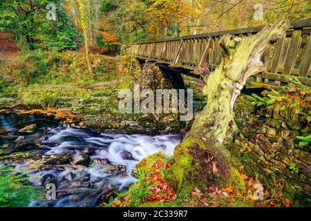 Cascades sous un pont en bois sur un ruisseau de montagne, avec des rochers mousseux dans le parc forestier de Tollymore Banque D'Images