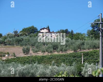 Villa en Toscane entre vignobles et oliveraies un Banque D'Images