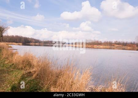 Paysage de rivière, sauvage, une nature intacte. Au début du printemps ensoleillé jour. Dans l'Odra (Kozanow, Wroclaw , Pologne. Banque D'Images